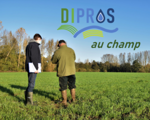 DIPROS au champ 1