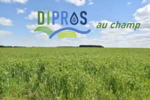 DIPROS au champ