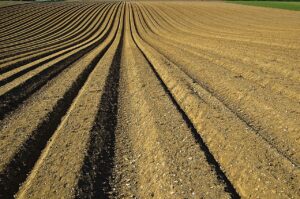 crop, furrows, soil-1149914.jpg